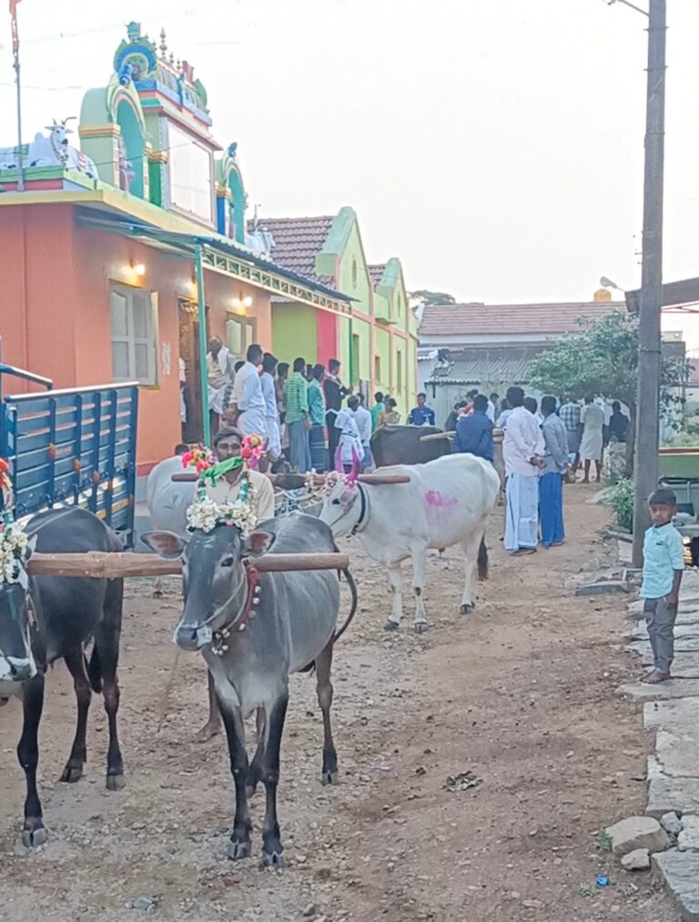 Commercial cropping in Karnataka