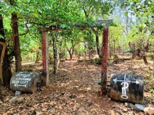 Build a house in the forest