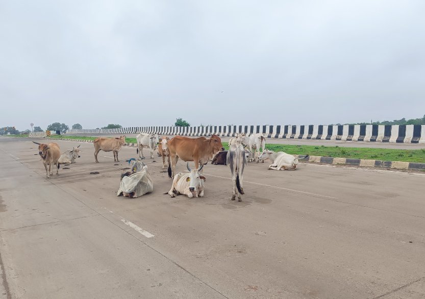 Touring Madhya Pradesh 