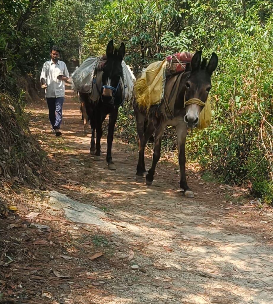 Travel Uttrakhand 